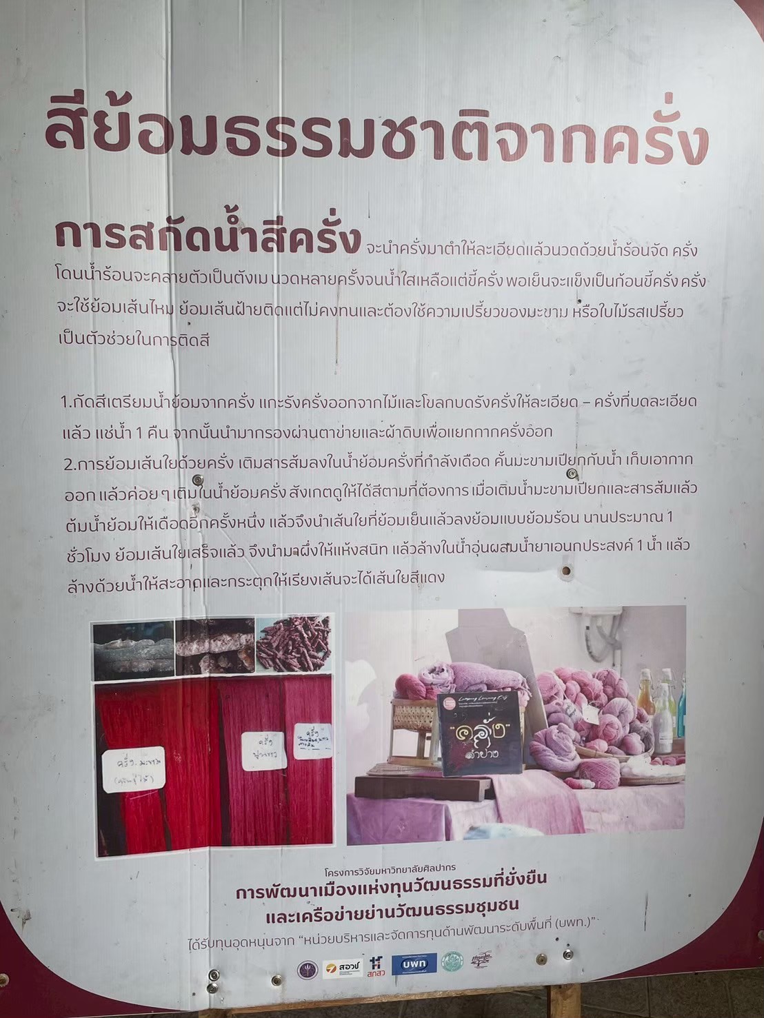 รูปภาพ 5