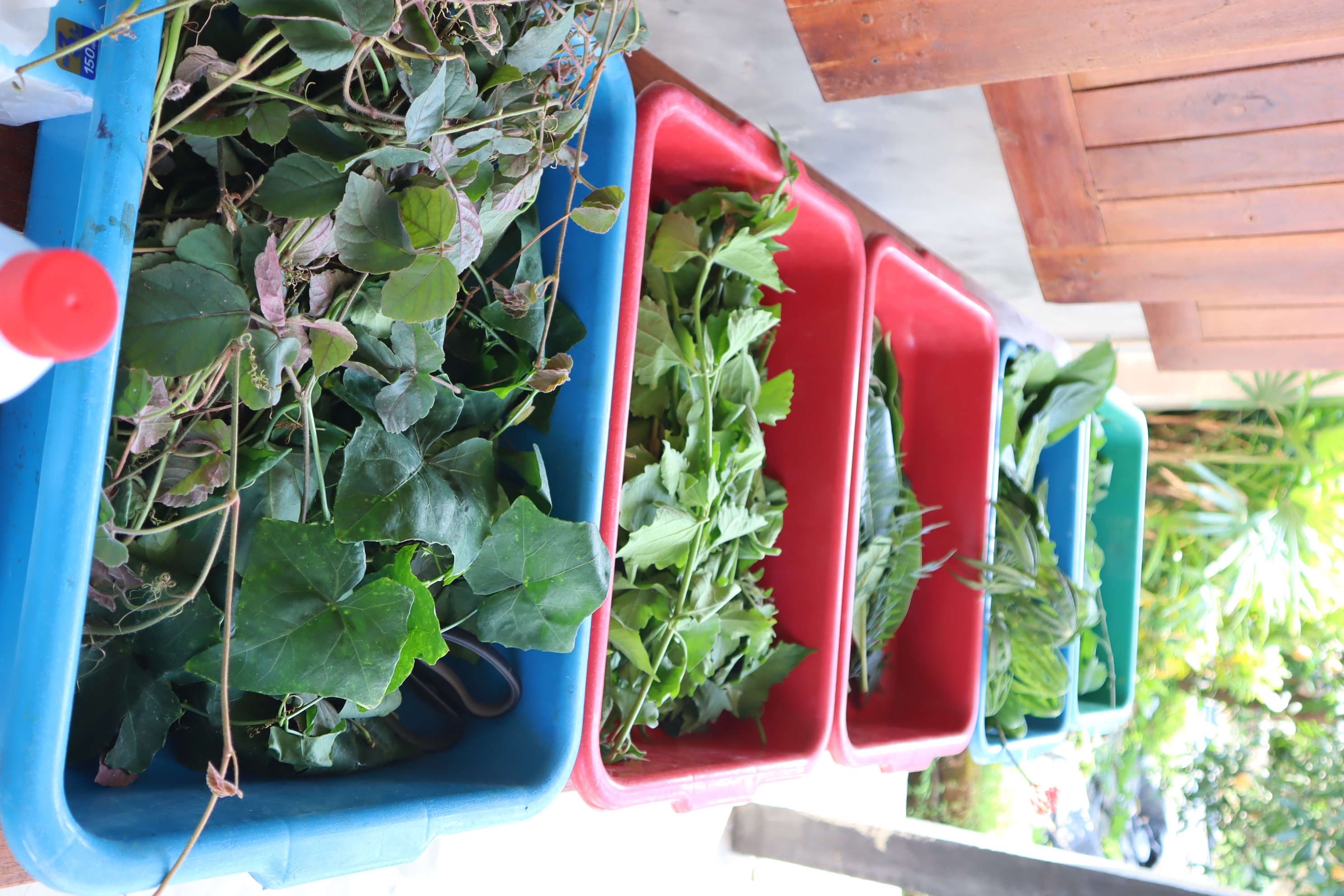 รูปภาพ 18